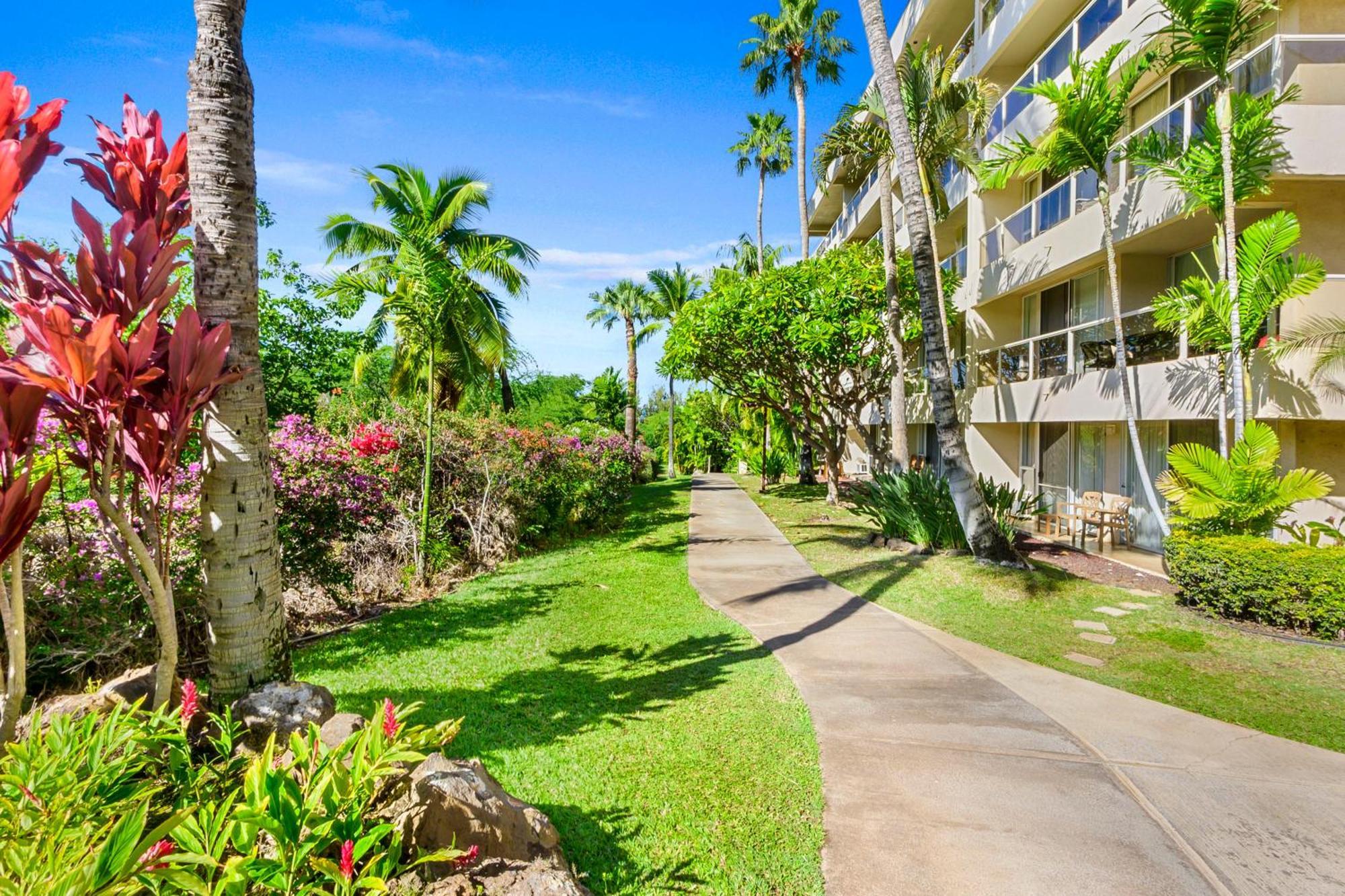אפרטהוטל ויילי Maui Banyan Vacation Club מראה חיצוני תמונה