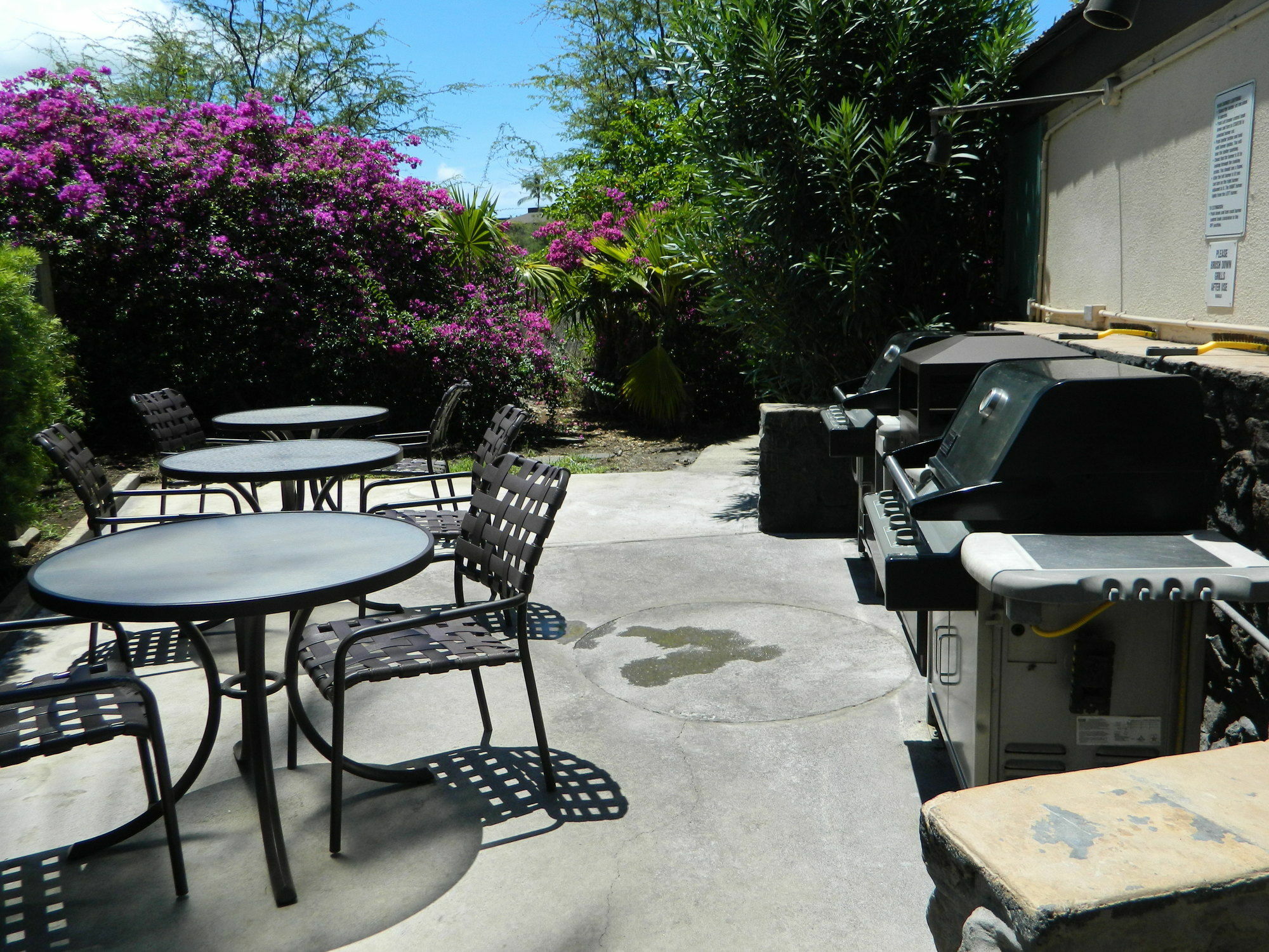 אפרטהוטל ויילי Maui Banyan Vacation Club מראה חיצוני תמונה